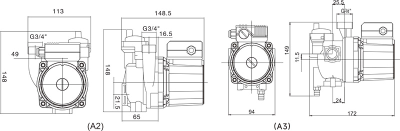 cp19-01.jpg